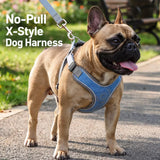 Dog Harness and Leash Set for Small to Medium Dogs