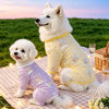 Breathable Mesh Four-Leg Dog Jumpsuit