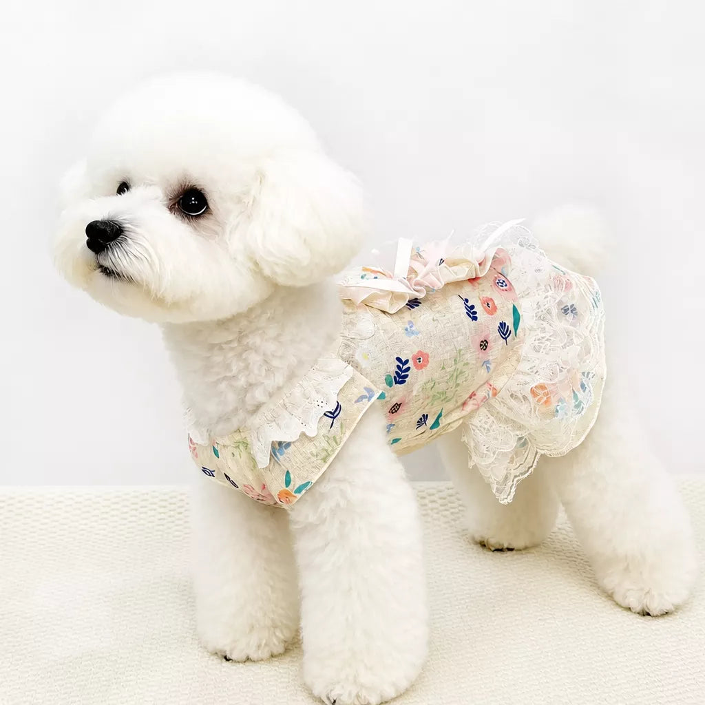 Lightweight Lace Pet Clothing with Bow and Ruffle Trim