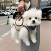 Pet Shoulder Carrier Bag for Small Dogs & Cats