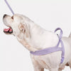 Dog Harness for Everyday Walks