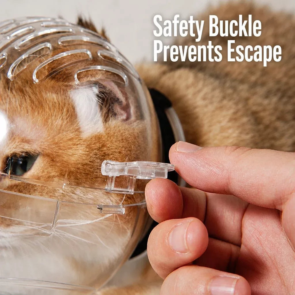 Plastic Recovery Cone for Cats During Grooming and Care