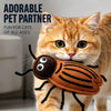 Catnip Insect Toys with Bells for Cats