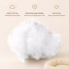 Foam Pet Bed Mat for Cats & Dogs