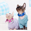Faux Leather Dog & Cat Collar with Jewel Detail