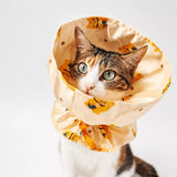 Adjustable Cat & Dog Cone Collar with Maneki-Neko Print