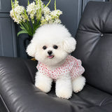 Red Polka-Dot Pet Dress with Leash Ring for Dogs and Cats