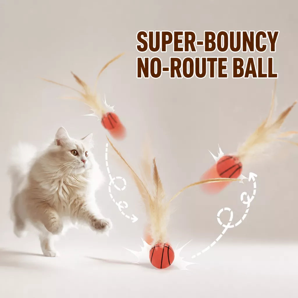 Cat Ball Toy with Feather Details