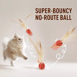 Cat Ball Toy with Feather Details