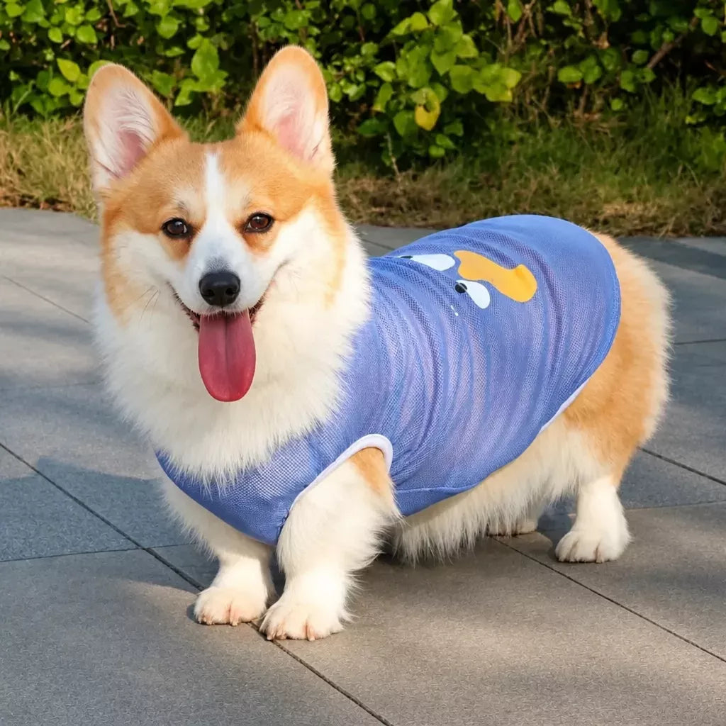 Lightweight Nylon Dog Vest for Everyday Wear