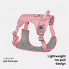 Lightweight Breathable Dog Harness and Leash