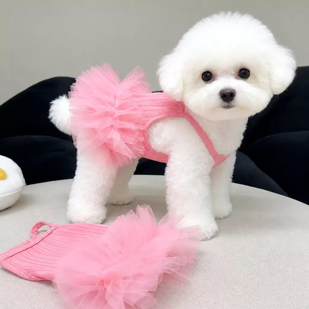 Pet Dress for Small Dogs and Cats