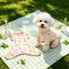 Lightweight Four-Leg Dog Shirt