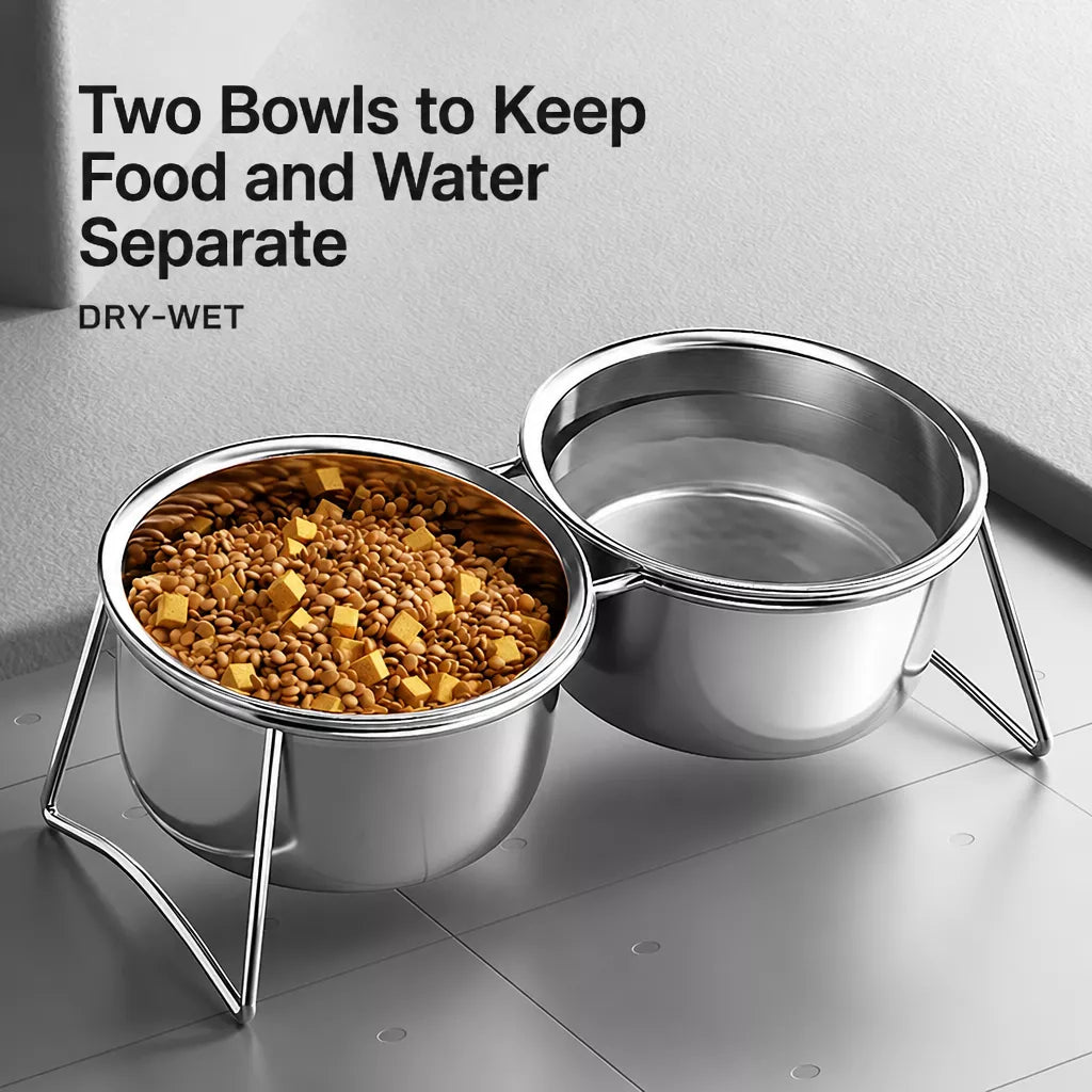 Stainless Steel Double Pet Bowls with Elevated Stand