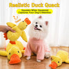 Plush Squeaky Dog Toys