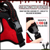 Wing-Design Nylon Dog Harness