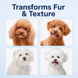 Pet Grooming Shears for Dogs