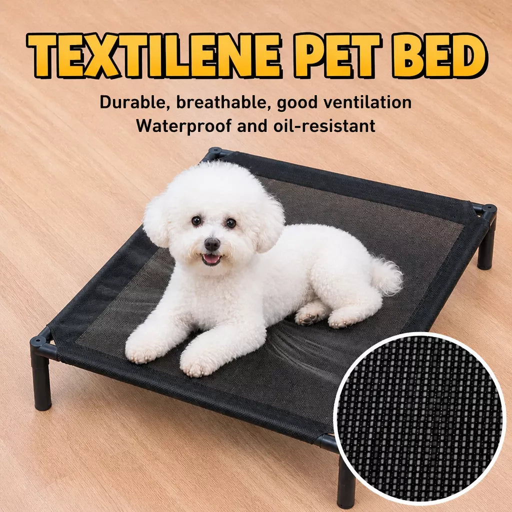 Elevated Dog & Cat Bed with Removable, Washable Pad