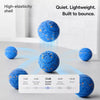 Interactive Automatic Bouncing Dog Toy Ball