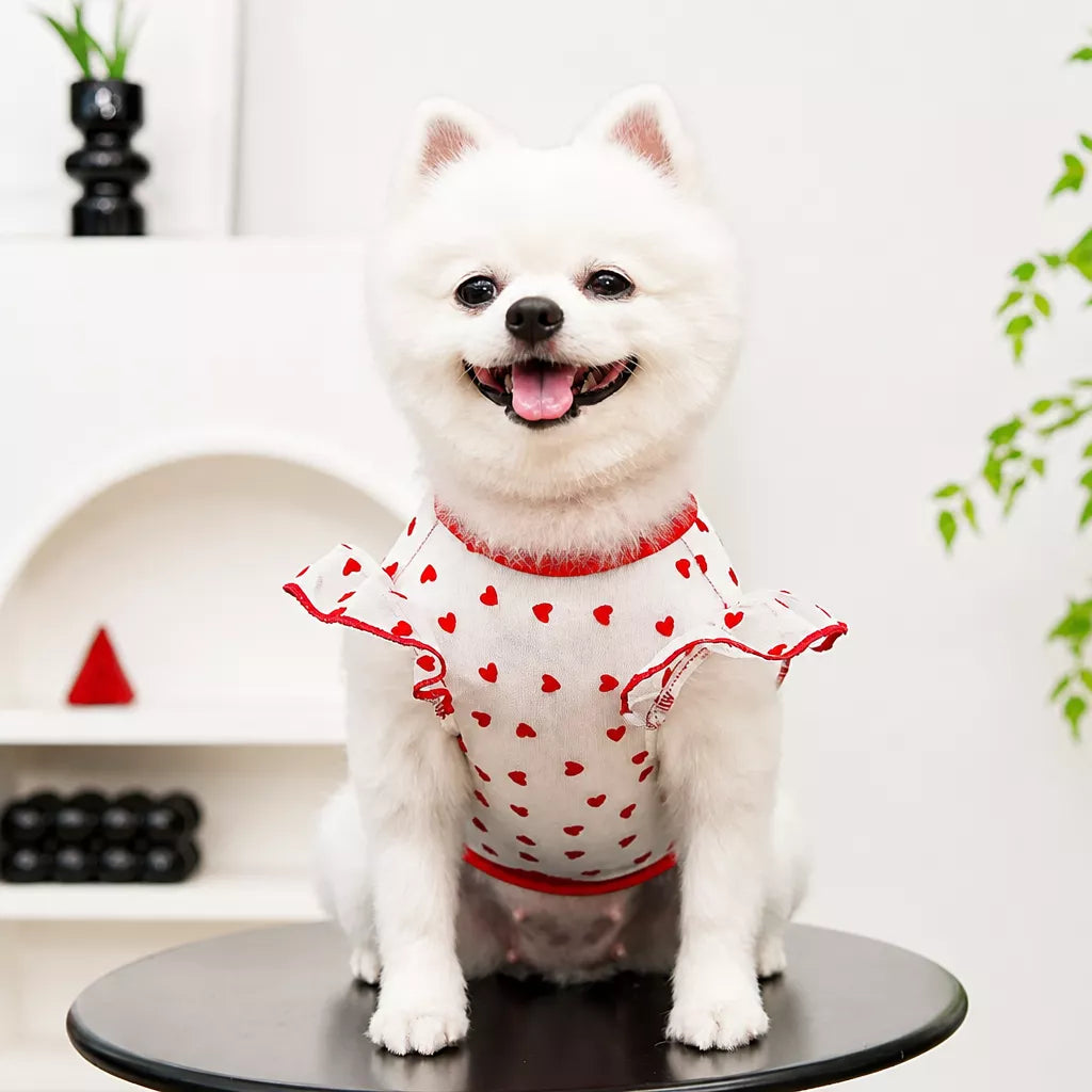 Lightweight Mesh Pet Shirt for Dogs and Cats