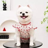 Lightweight Mesh Pet Shirt for Dogs and Cats