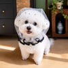 Breathable Mesh Muzzle for Small Dogs