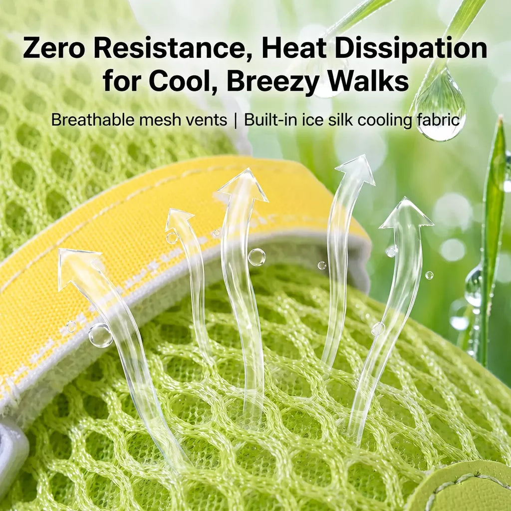Breathable Soft-Sole Dog Shoes for Outdoor Walks