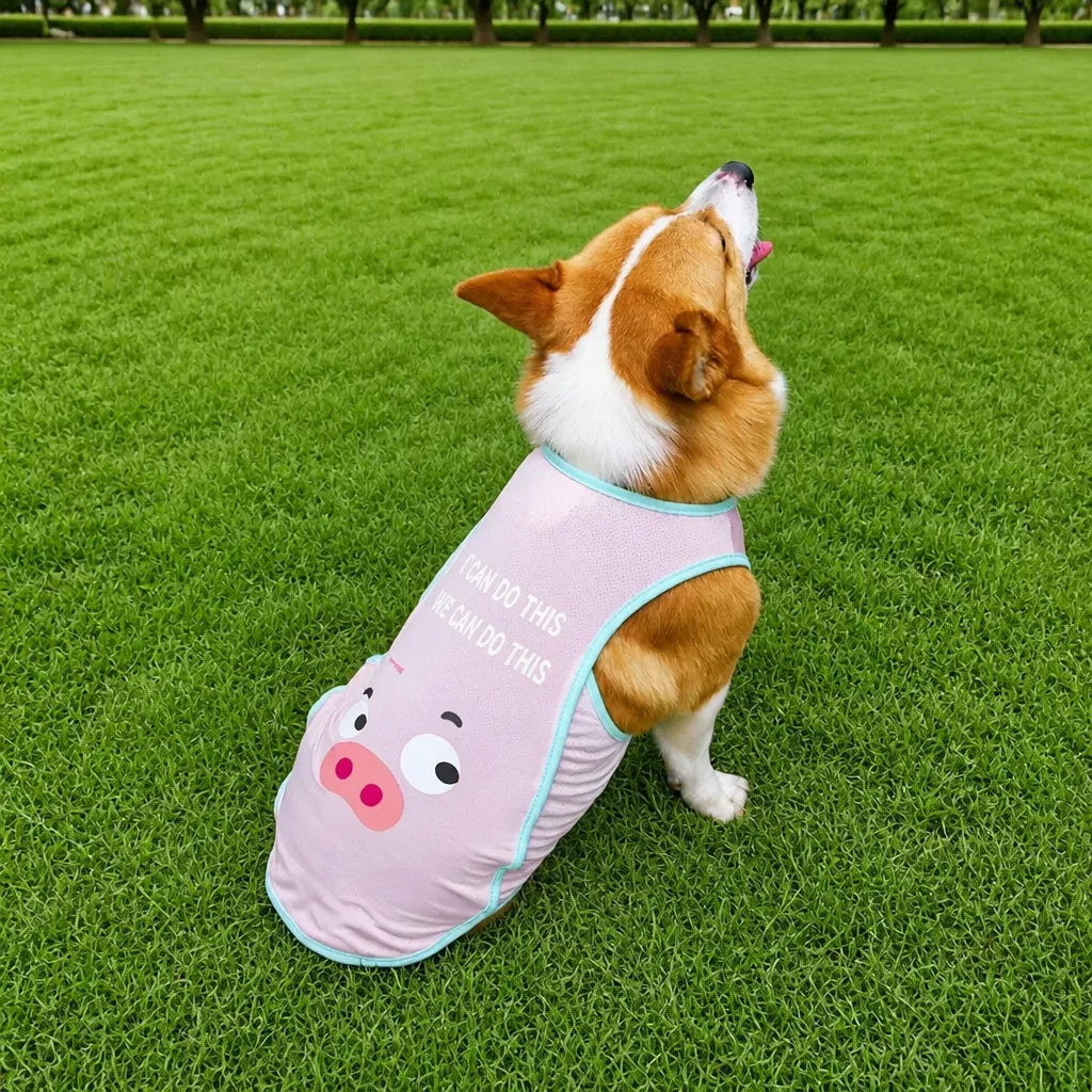Lightweight Summer Pet Vest for Dogs and Cats