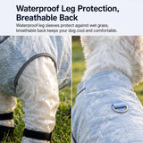 Lightweight Four-Leg Mesh Suit for Small Dogs