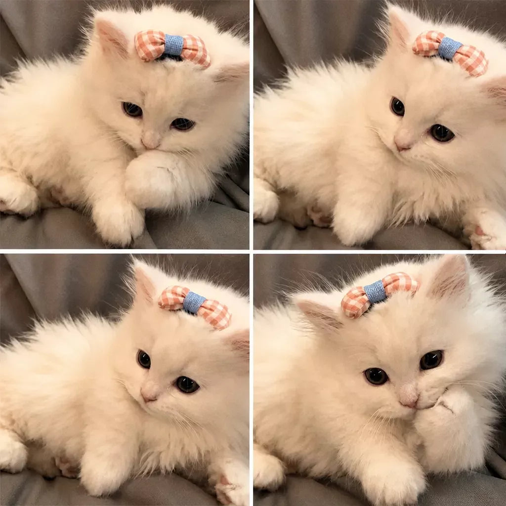 Bow Hair Clips for Cats and Small Dogs