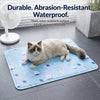 Pet Foam Bed with Nylon Cover