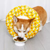 Soft Elizabethan Cone Collar for Dogs