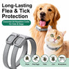 Adjustable Faux Leather Collar for Cats & Dogs