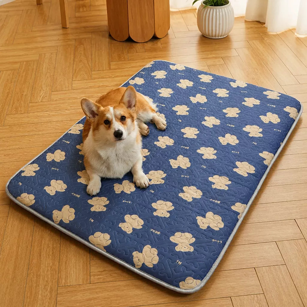 Nylon Pet Mat Bed for Dogs and Cats