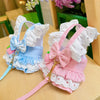 Small Dog Dress with Leash