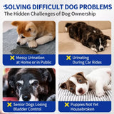 Disposable Pull-On Dog Diapers for Male and Female Dogs