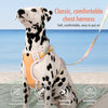 Polyester H-Style Dog Harness