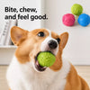 Paw Print Squeaky Ball Dog Toy