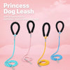 X-Style Dog Harness and Leash Set