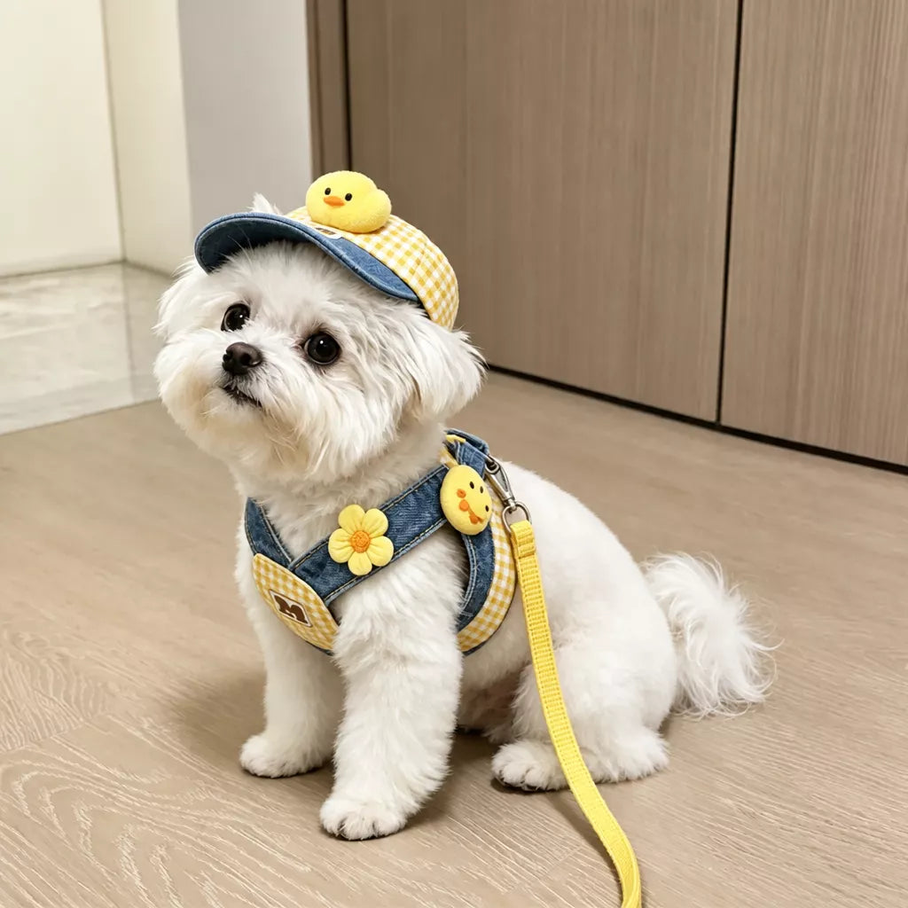 Pet Harness Vest, Leash & Hat Sets for Cats and Dogs