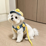 Pet Harness Vest, Leash & Hat Sets for Cats and Dogs