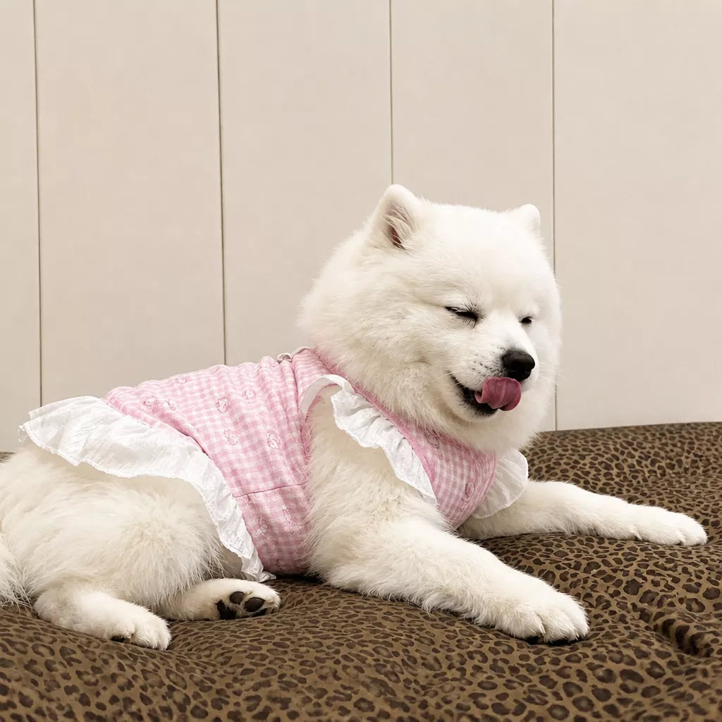 Lightweight Mesh Dog Dress for Warm-Weather Lounging