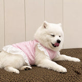 Lightweight Mesh Dog Dress for Warm-Weather Lounging
