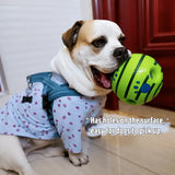 Interactive Squeaky Ball Dog Toy
