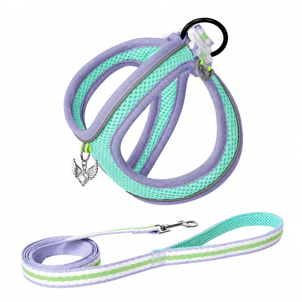 Adjustable Dog Harness with 4.6-ft Leash for Small Dogs