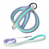 Adjustable Dog Harness with 4.6-ft Leash for Small Dogs