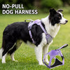 Pet Harness Vest with Leash