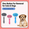 Self-Cleaning Slicker Brush for Dogs and Cats