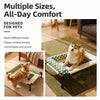 Elevated Mesh Pet Bed for Dogs and Cats with Removable Cushion