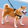 Adjustable Nylon Dog Harness with Leash Option